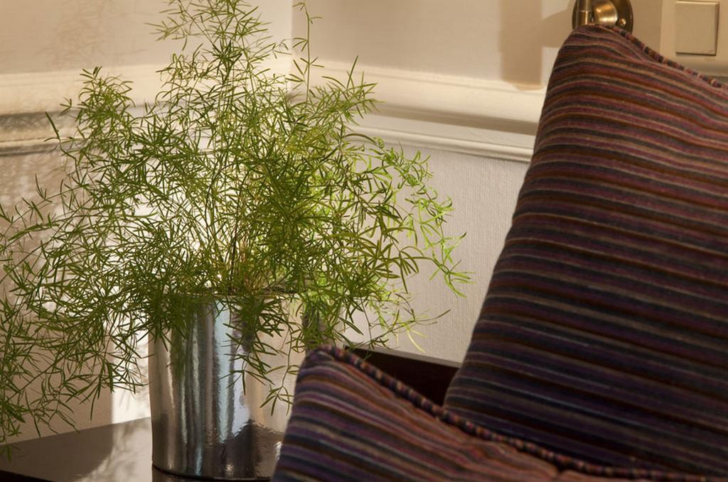 Pavillon Faubourg Saint-germain &